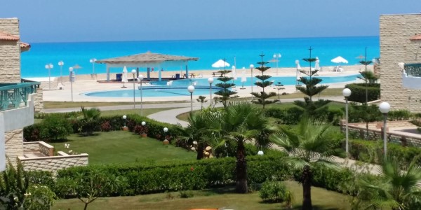 داليا الساحل الشمالي
